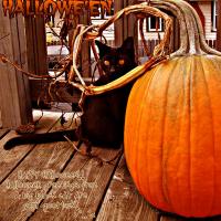 Black Cat and Pumpkin Photo Card