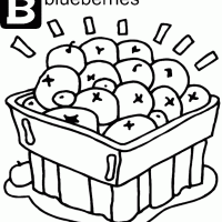Box of Blueberries