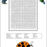 Buggin Out Word Search