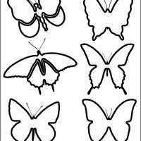 Butterfly Stensils