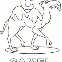 Camel Alphabet