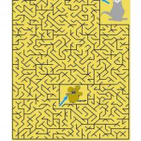 Cat And Mouse Maze