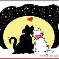 Cat Themed Valentine Postcards