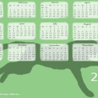 Cheetah Shadow Calendar