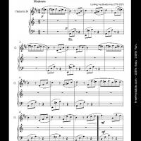 Clarinet - Fur Elise By Beethoven