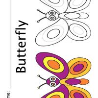 Color the Butterfly