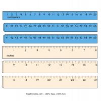 Colored Ruler Centimeters And Inches