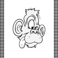 Crazy/Goofy Monkey Flash Card