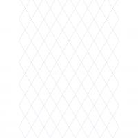 Diamond- Trapezoid Graph Paper
