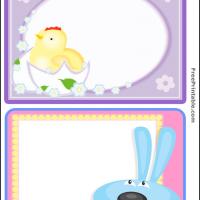 Easter Chick and Bunny Post Card Set