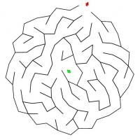 Easy Round Maze