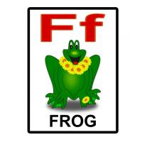 F is for Frog Flash Card