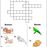 Family Pets Picture Crossword