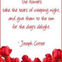 Flowers Take Tears