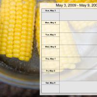 Food Themed Weekly Planner May 3-9 2009