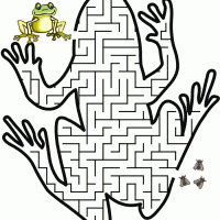 Frog Maze