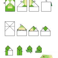 Frog Origami
