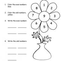 Grade 1 Math- Color the Flower Odd and Even