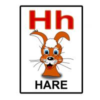 H is for Hare Flash Card