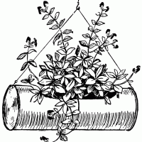 Hanging Flowers In A Cylindrical Tin Pot