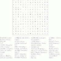 Harry Potter Characters Word Hunt