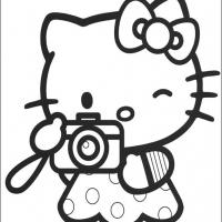 hello-kitty-taking-photo.jpg