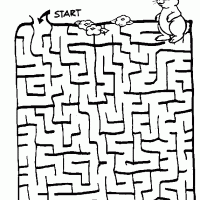 Help The Bunny Find His Way