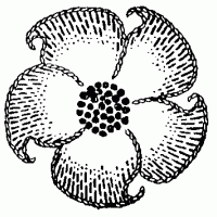 Jacobean Flower Pattern