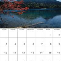 January 2010 Nature Calendar