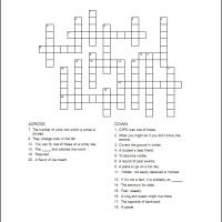 Kids Crossword 3
