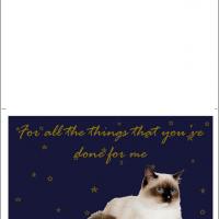 Kitten Thank You Card