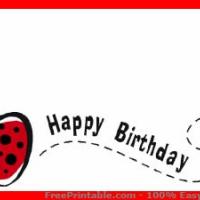 Ladybug Birthday