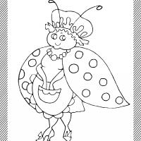 ladybug