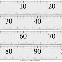 Large-Print Meter Stick with 10cm Markers