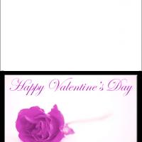 Lilac Rose Card