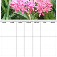 Lovely Pink Flowers Blank Calendar
