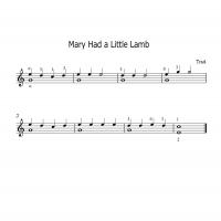 Mary Had A Little Lamb Guitar Music For Beginner
