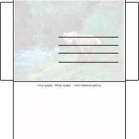 Nature With Bear Envelope