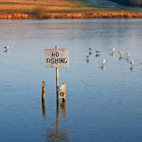 No Fishing In The Frozen Lake