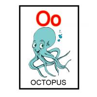 O is for Octopus Flash Card