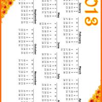 Orange Flowers 2013 Calendar