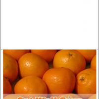 Oranges Get Well Card