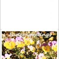 Pansy Flower Card