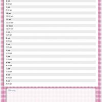 Pink Checkered Daily Planner