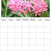 Pink Flower Blank Calendar