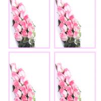 Pink Roses Gift Cards