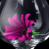 Purple Daisy In A Glass
