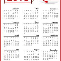 Red Airplane 2013 Calendar