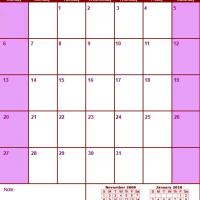 Red &amp;amp; Pink December 2009 Calendar