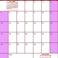 Red &amp;amp;amp;amp; Pink July 2009 Calendar